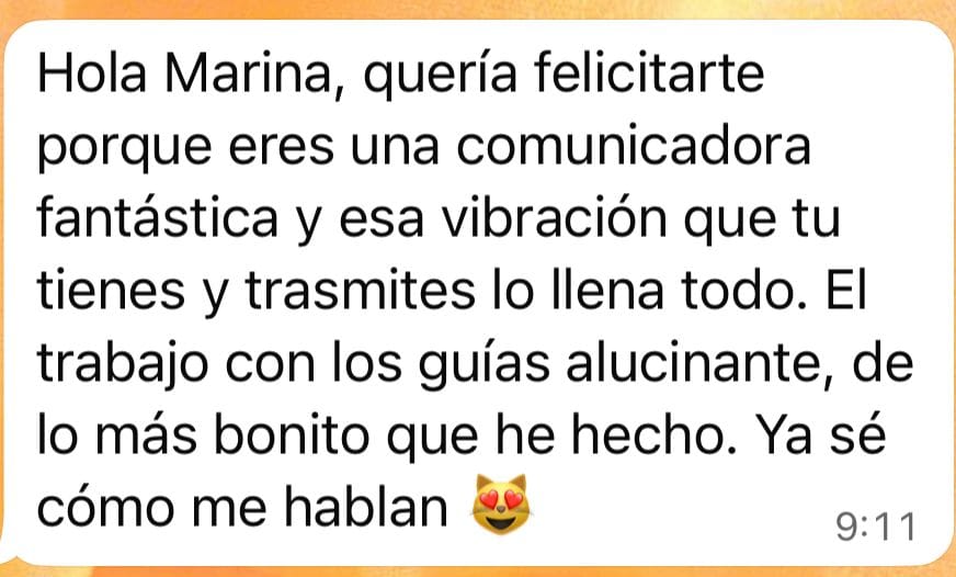 Testimonio curso tus guías te hablan con Marina Romés